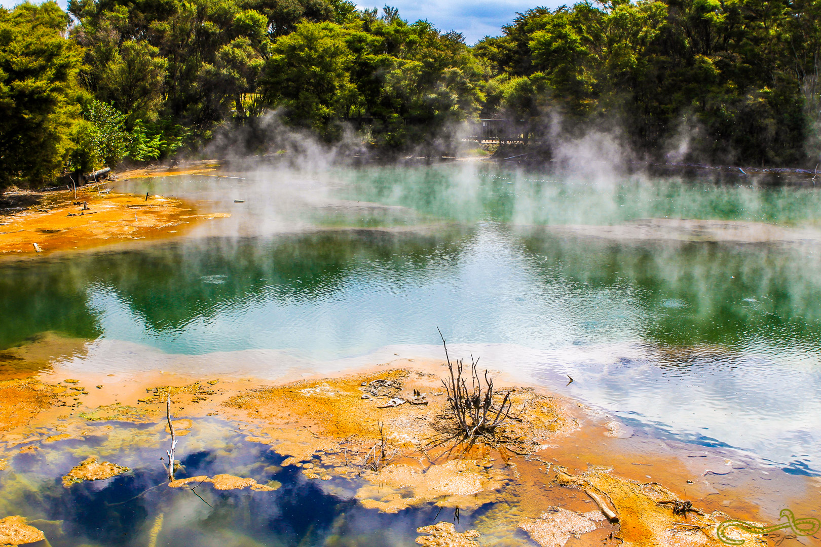 Mud pools Hot springs